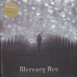 Mercury Rev - The Light In...
