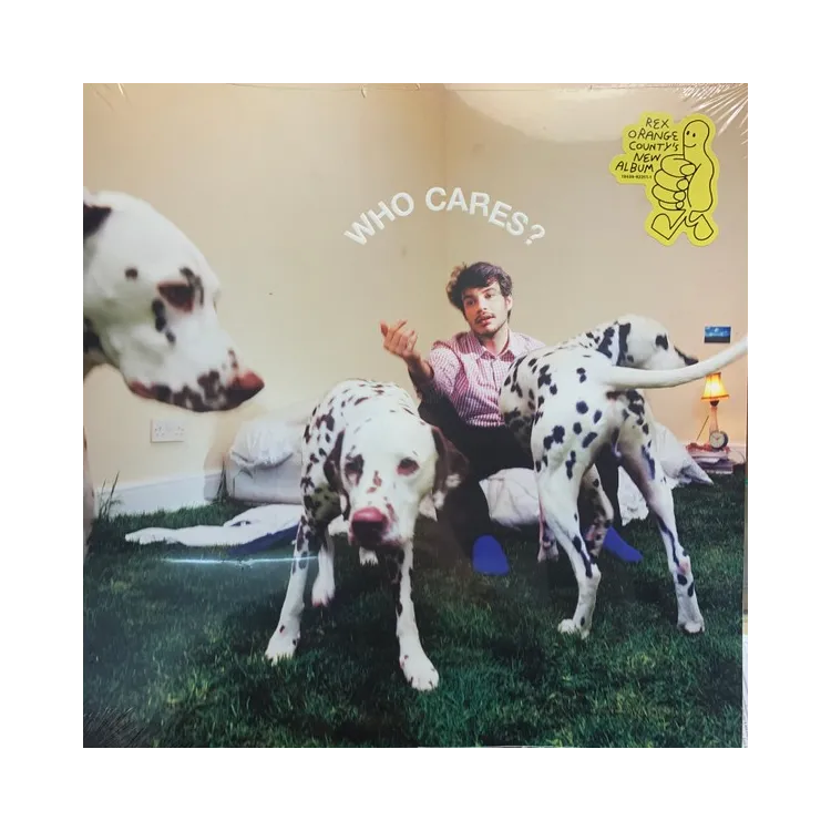Rex Orange County ‎– Who Cares?  LP