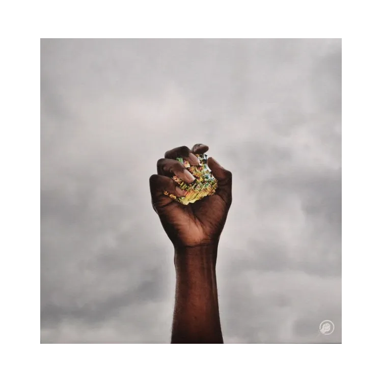 The Comet Is Coming – Prophecy - 12"