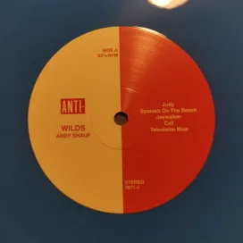 Andy Shauf – Wilds - LP