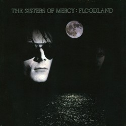 The Sisters Of Mercy –...