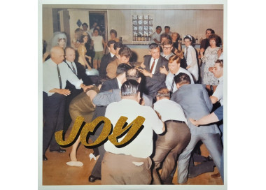 Idles – Joy As An Act Of Resistance - LP