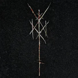 Wiegedood – There's Always Blood At The End Of The Road - 2xLP