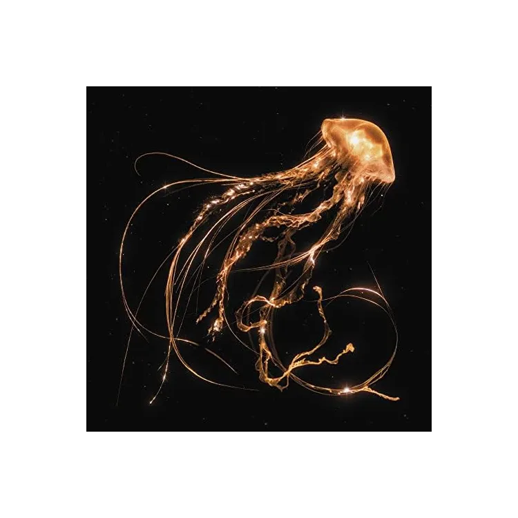Royal Blood – Back To The Water Below - LP Royal Blood – Back To The Water Below - LP