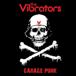 The Vibrators – Garage Punk...