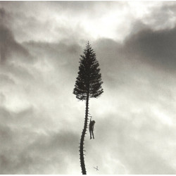 Manchester Orchestra - A...
