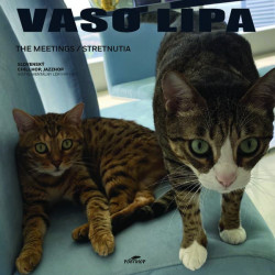 Vaso Lipa – The Meetings /...