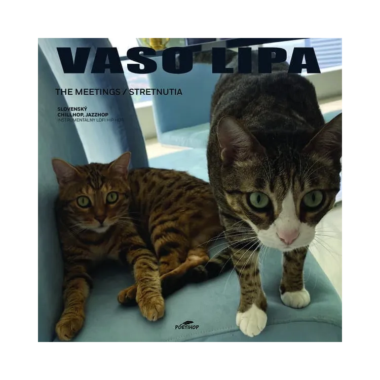Vaso Lipa – The Meetings / Stretnutia - LP