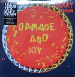 The Jesus And Mary Chain – Damage And Joy - 2xLP color