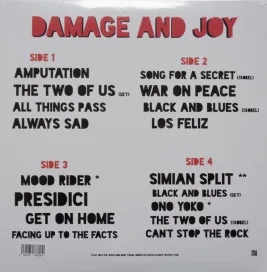 The Jesus And Mary Chain – Damage And Joy - 2xLP color