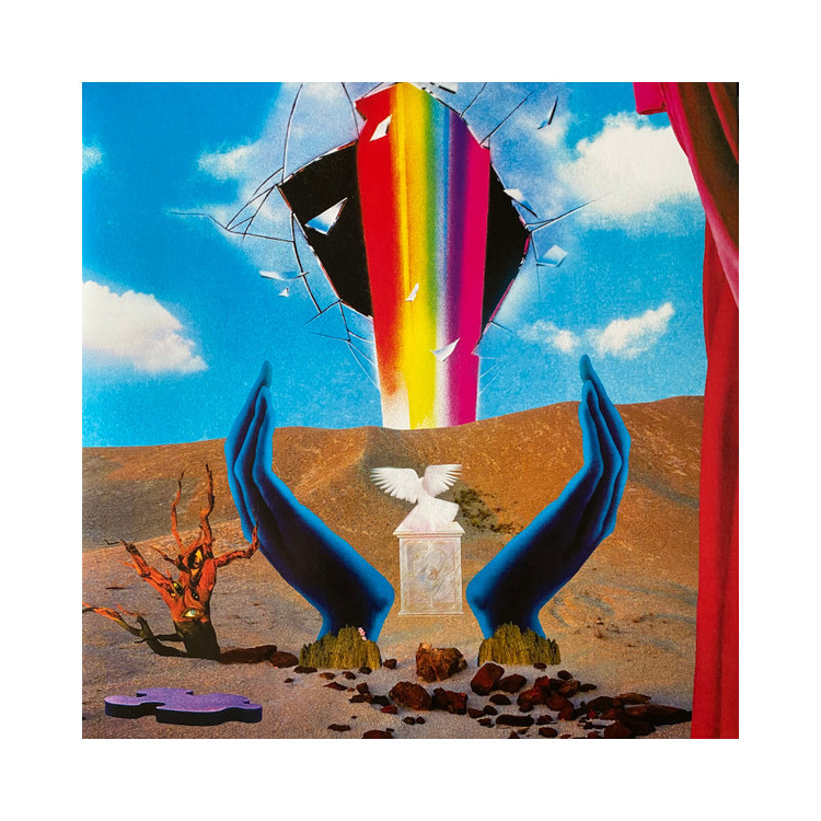 Teenage Wrist – Still Love - LP color Teenage Wrist – Still Love - LP color
