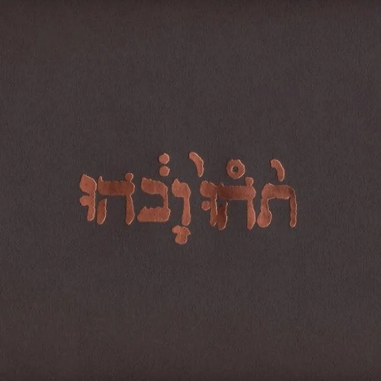 Godspeed You Black Emperor! – Slow Riot For New Zero Kanada E.P. - LP