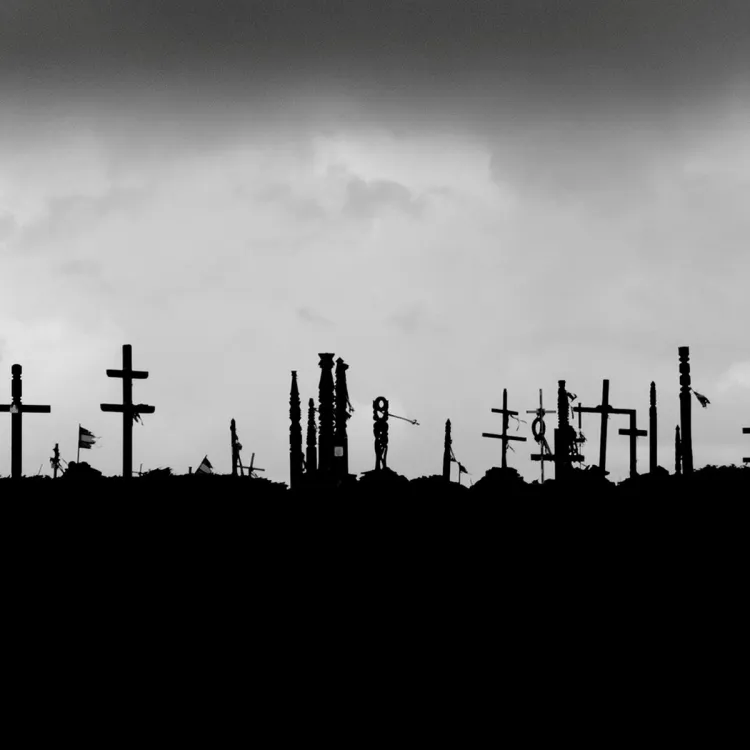 The PUBLIC - No grave is deep enough 12"