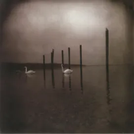 Om – Conference Of The Birds - LP Coloured