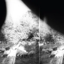 GODSPEED YOU! BLACK EMPEROR ASUNDER, SWEET AND OTHER DISTRESS