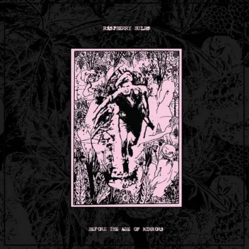 Raspberry Bulbs – Before The Age Of Mirrors - LP