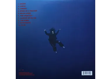 Billie Eilish – Hit Me Hard And Soft - LP