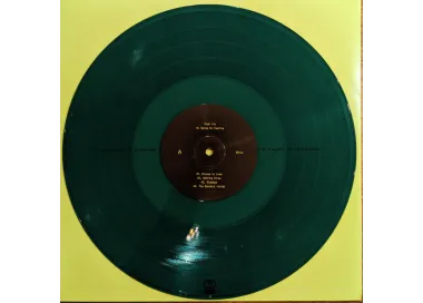 High Vis - No Sense No Feeling - LP