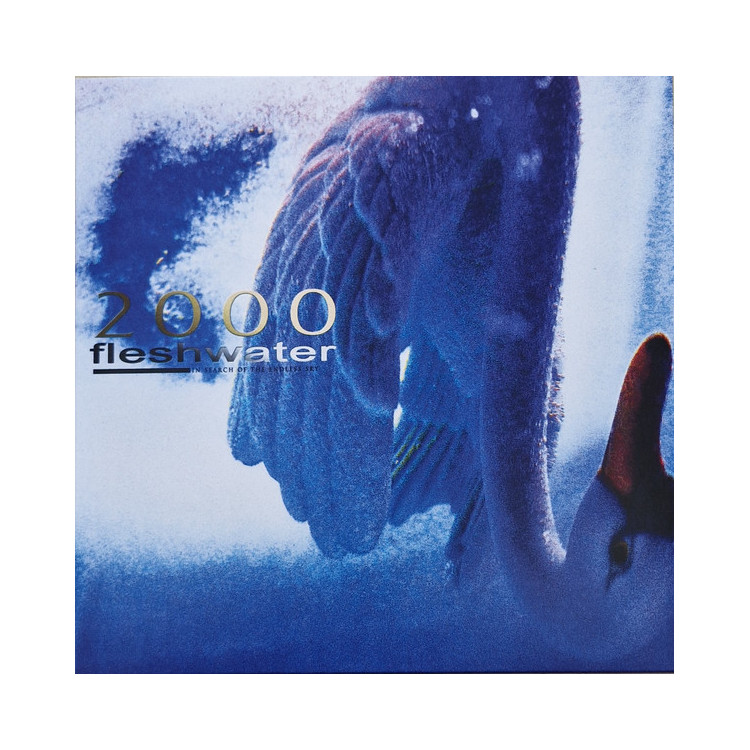 Fleshwater - 2000: In Search Of Endless Sky - LP