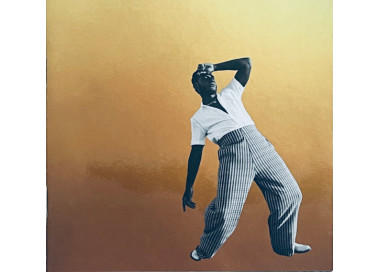 Leon Bridges ‎– Gold-Diggers Sound LP