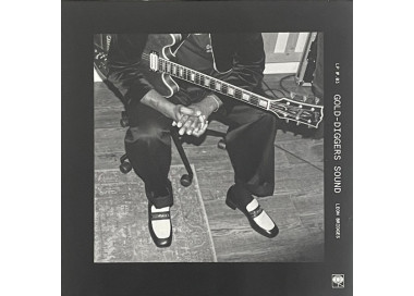 Leon Bridges ‎– Gold-Diggers Sound LP