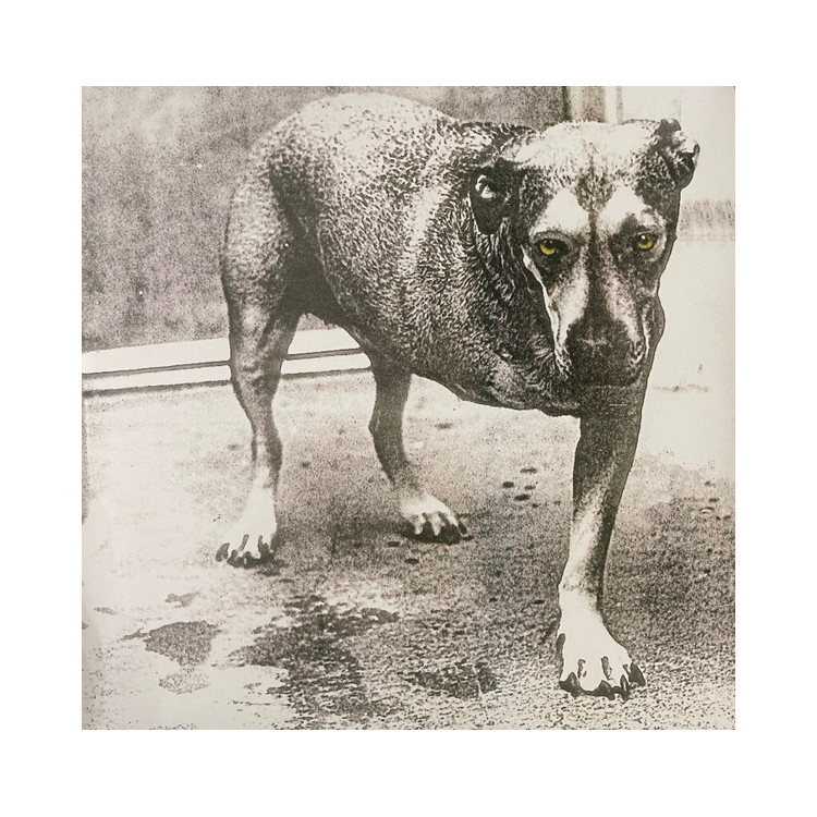 Alice In Chains - 2xLP
