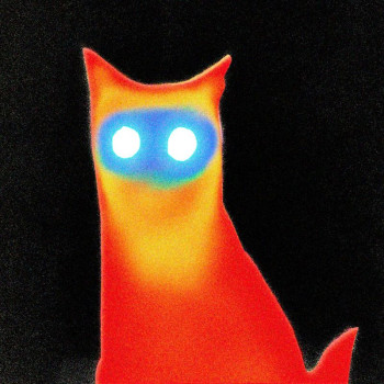 Basement - Wired - LP