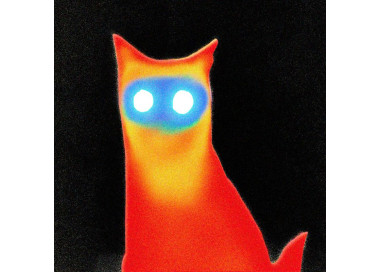 Basement - Wired - LP