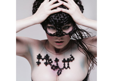 Björk - Medúlla - MC