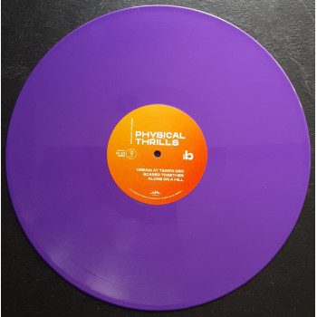 Silversun Pickups - Physical Thrills - LP