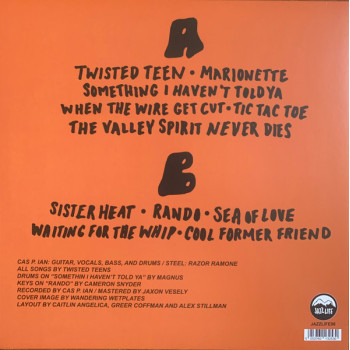 Twisted Teens - Twisted Teens - LP