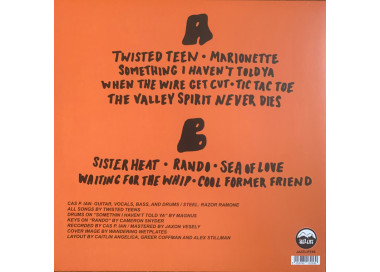 Twisted Teens - Twisted Teens - LP