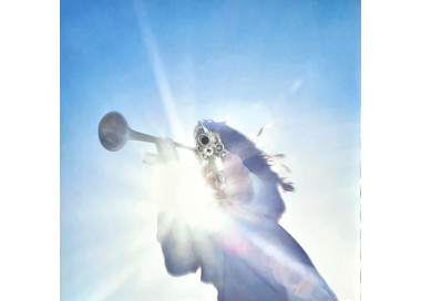 Geese - Getting Killed - LP